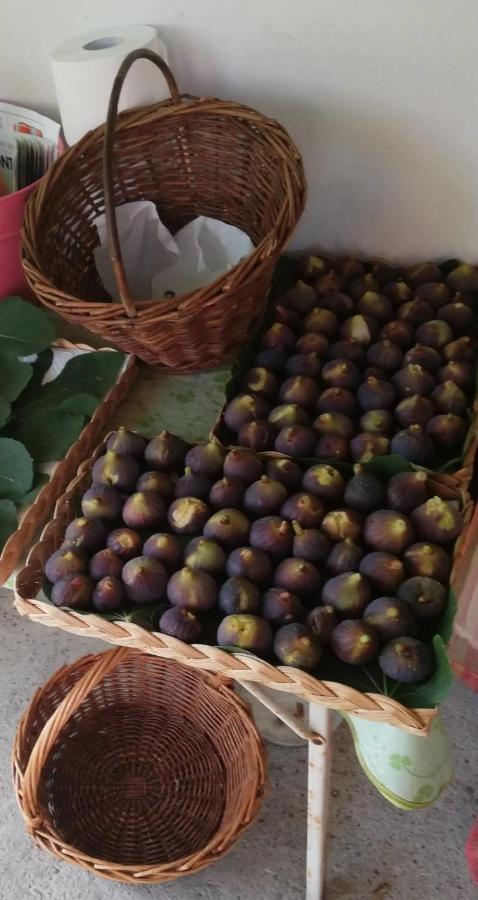 Casa In Campagna Oltrepo' Pavese Montecalvo Versiggia Luaran gambar