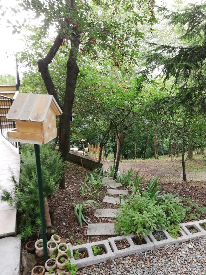 Casa In Campagna Oltrepo' Pavese Montecalvo Versiggia Luaran gambar